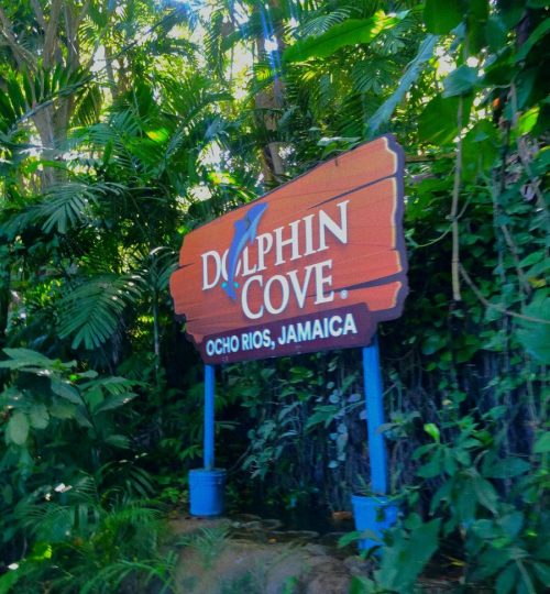 Dolpin Cove Signage